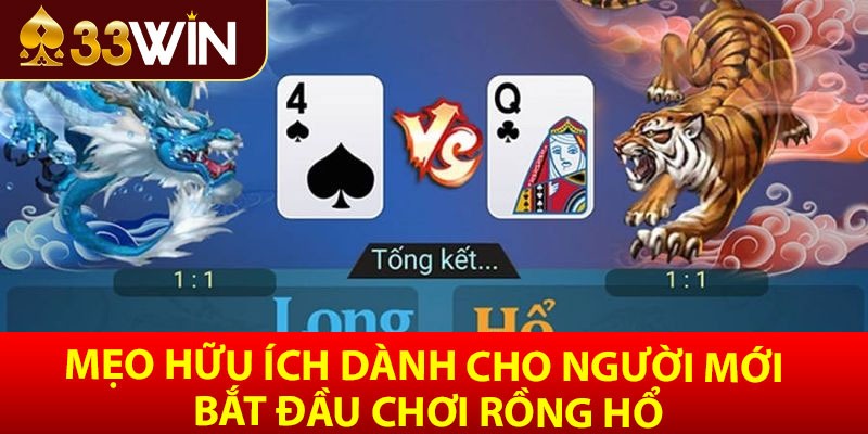 Mẹo hữu ích dành cho người mới bắt đầu chơi rồng hổ